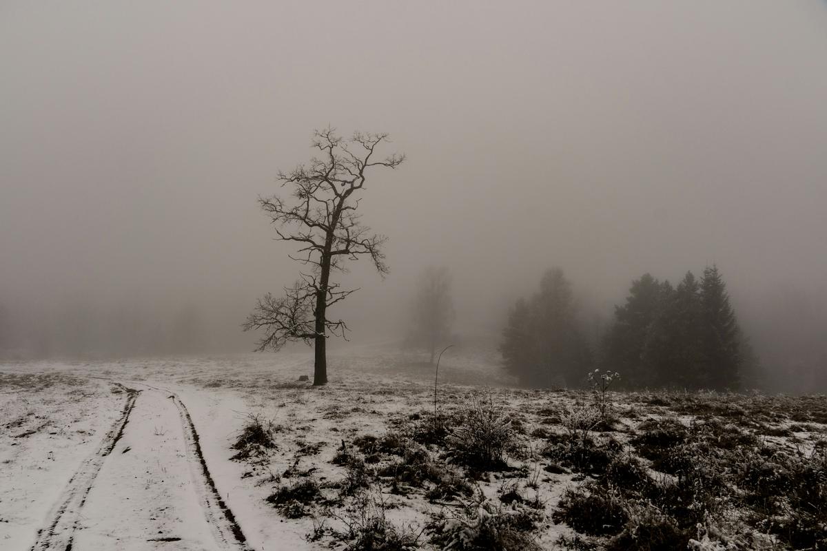 Is Lubbock's Snow Thing A Hoax Or A Real Mystery?