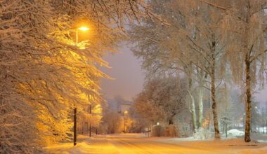 Lubbock Weather History: Most Extreme Snow Days