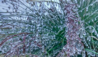 Cold morning in Austin (Getty Images)