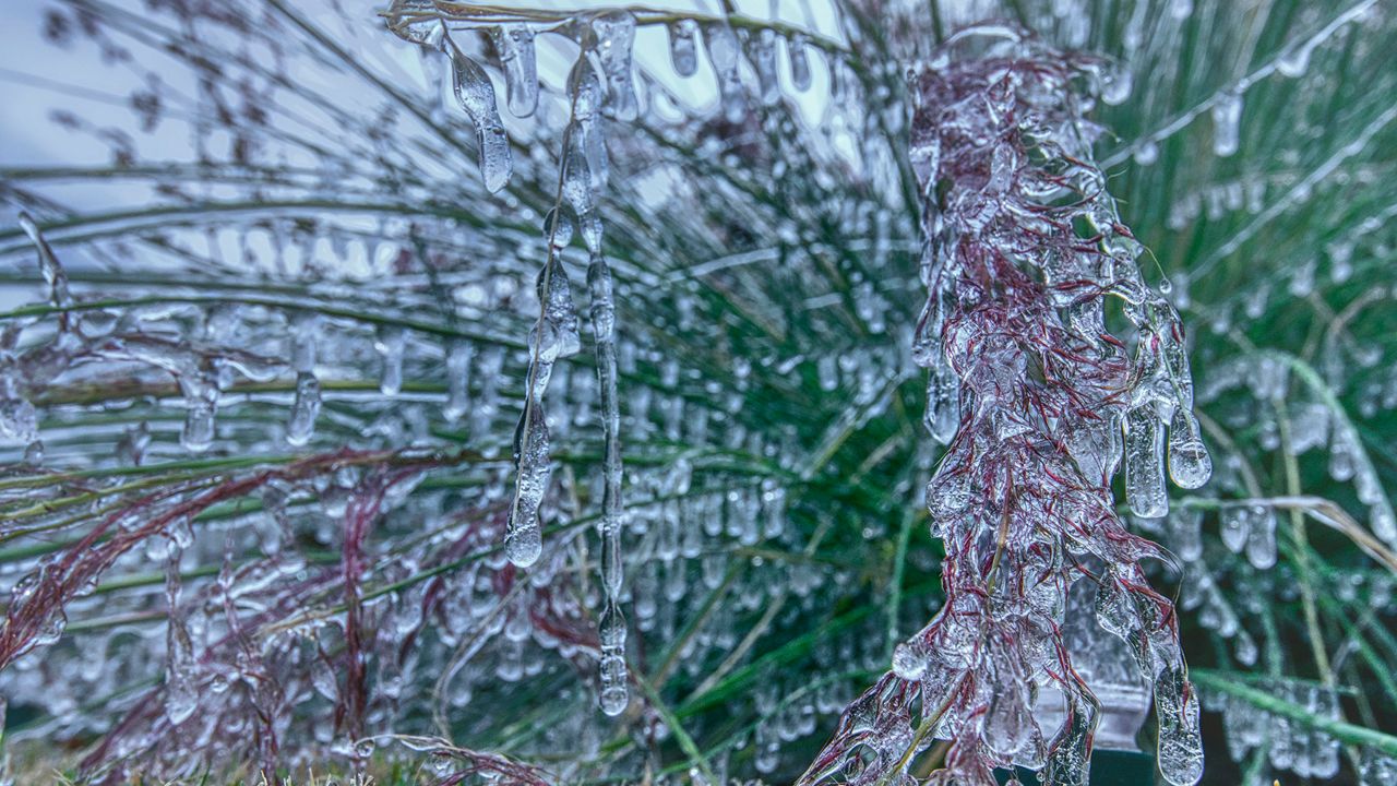 Cold morning in Austin (Getty Images)