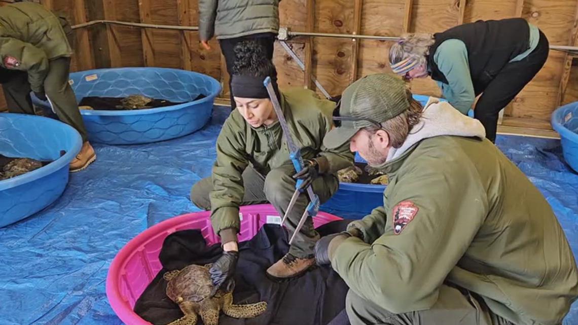 Drones proving to be a game changer for wildlife rescues in Texas