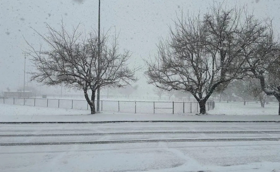 Snow begins to cover the ground at Eastwood Park, also known as Album Park, in East El Paso on Sunday morning, Jan. 25, 2026.