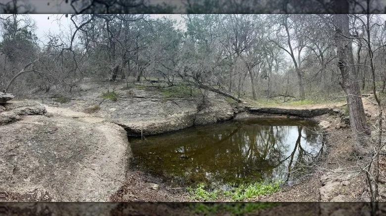 Wash Pond at ﻿﻿Mother Neff State Park