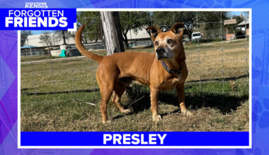 Presley has been waiting more than four years for a family to call his own | Forgotten Friends