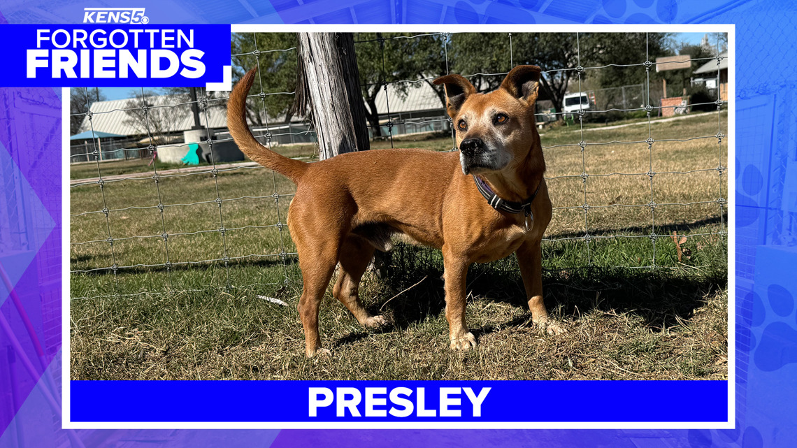 Presley has been waiting more than four years for a family to call his own | Forgotten Friends