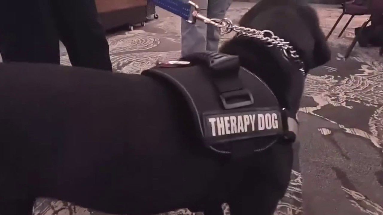 PREVIOUS COVERAGE: Therapy dogs sworn in at TXST
