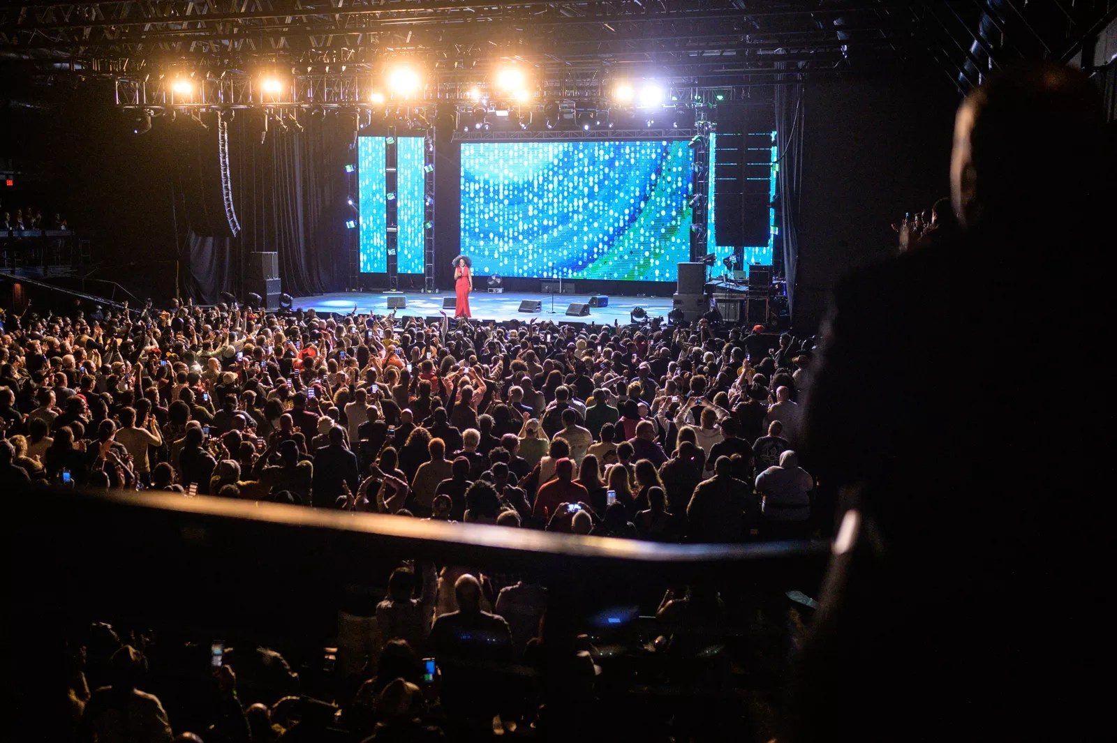 the bomb factory crowd for diana ross