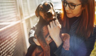 A dog at a shelter. (Getty Images)
