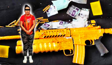 A photography illustration of a gold-plated gun with an arrest picture of María del Rosario Navarro-Sanchez.