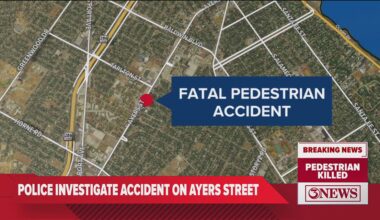 Pedestrian dies after being hit by vehicle on Ayers Street