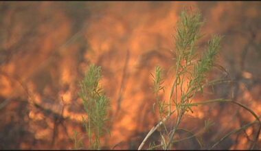 Burn ban in Travis County extended to February