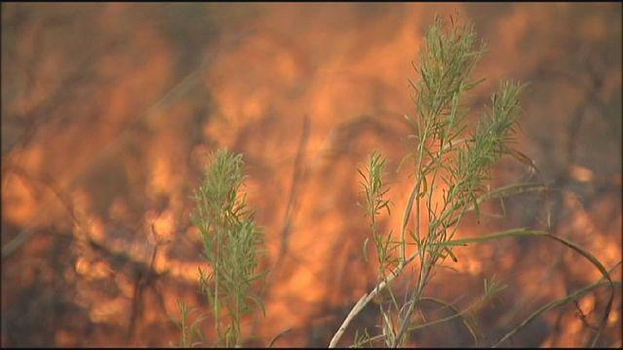 Burn ban in Travis County extended to February