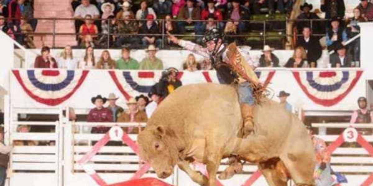 Fort Worth Stock Show & Rodeo rides on through winter storm