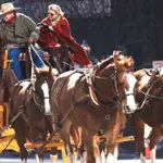 fort-worth-stock-show-rodeo-2025-pic-1-832