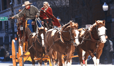 Fort Worth Stock Show & Rodeo Parade 2026