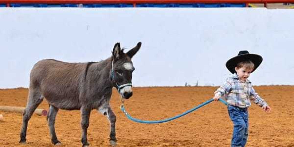How to get all discounts to the 2026 Fort Worth Stock Show