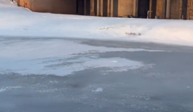 3 elementary students drown in frozen Texas pond