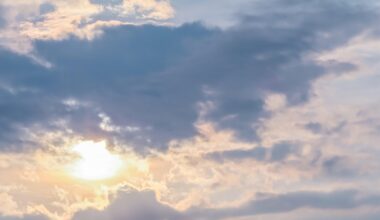 Mild Friday in North Texas before cold front brings seasonable winter temperatures