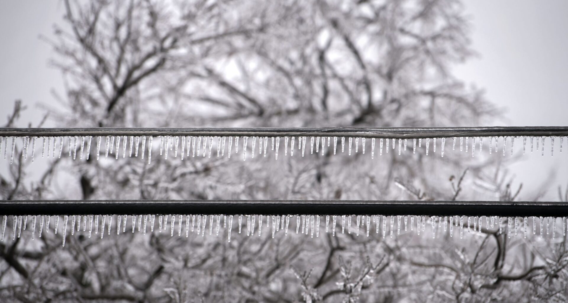 The Week's Biggest News in Brief • The Austin Chronicle