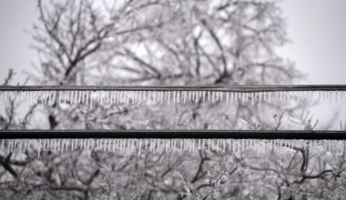 The Week's Biggest News in Brief • The Austin Chronicle