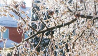 Forecasters warn of major winter storm coming to Texas