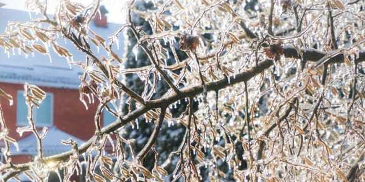 Forecasters warn of major winter storm coming to Texas