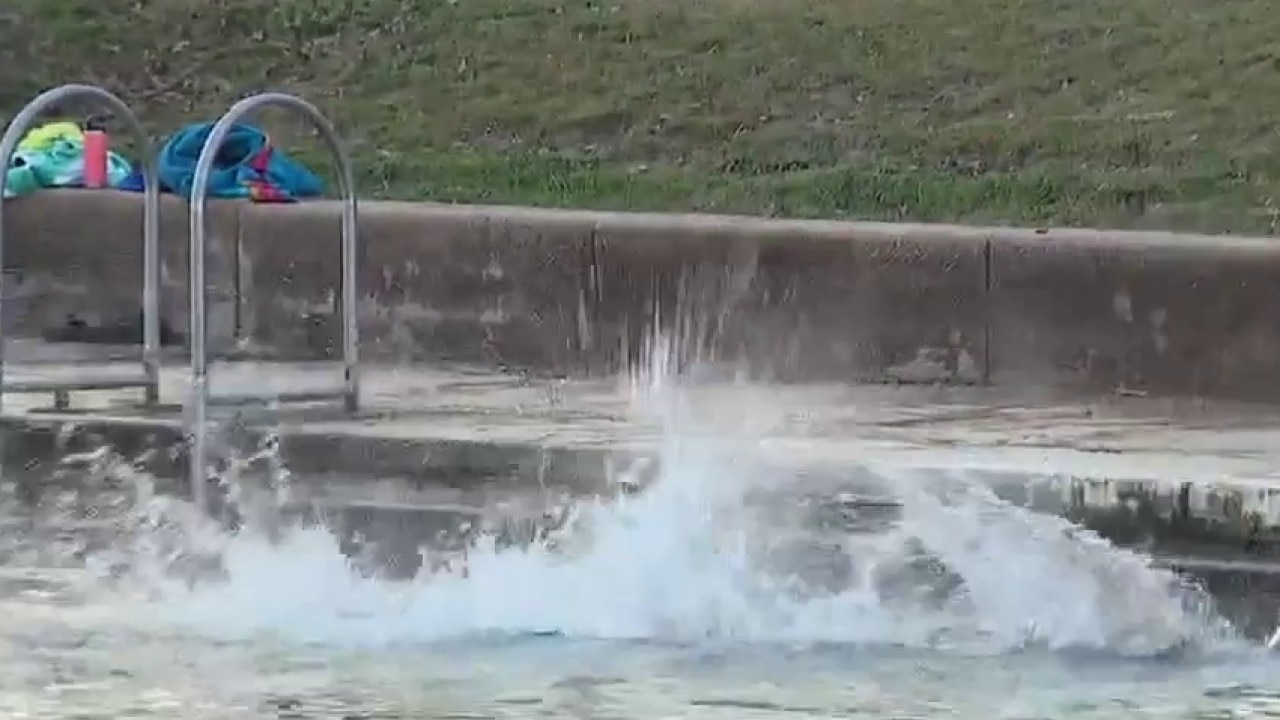 Polar Bear Plunge at Barton Springs Pool