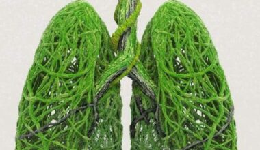 The 11 theater shows you shouldn’t miss in DFW this January