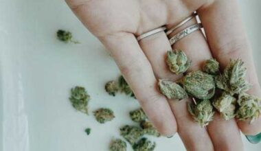 Texas medical marijuana ramps up after years of limits