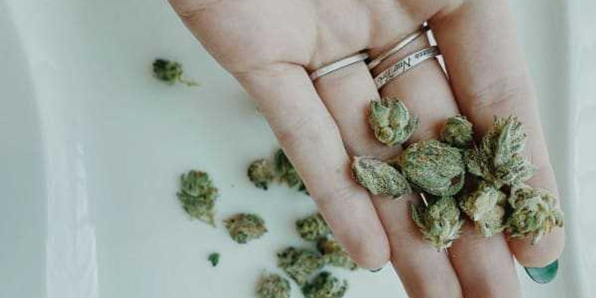 Texas medical marijuana ramps up after years of limits