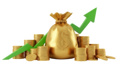 money bags and gold coins