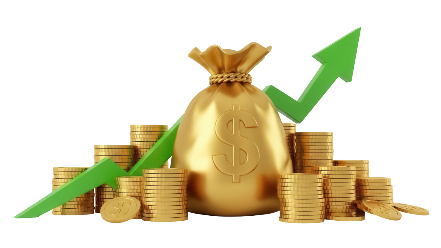 money bags and gold coins