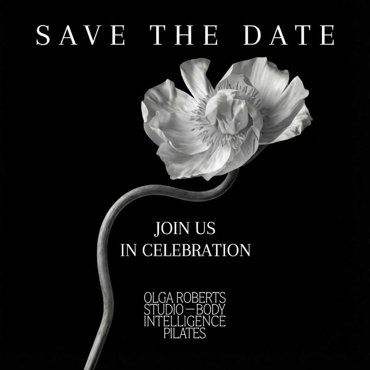 Olga Roberts studio opening event admat