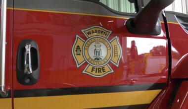 Plano firefighters revive 2 dogs amid house fire