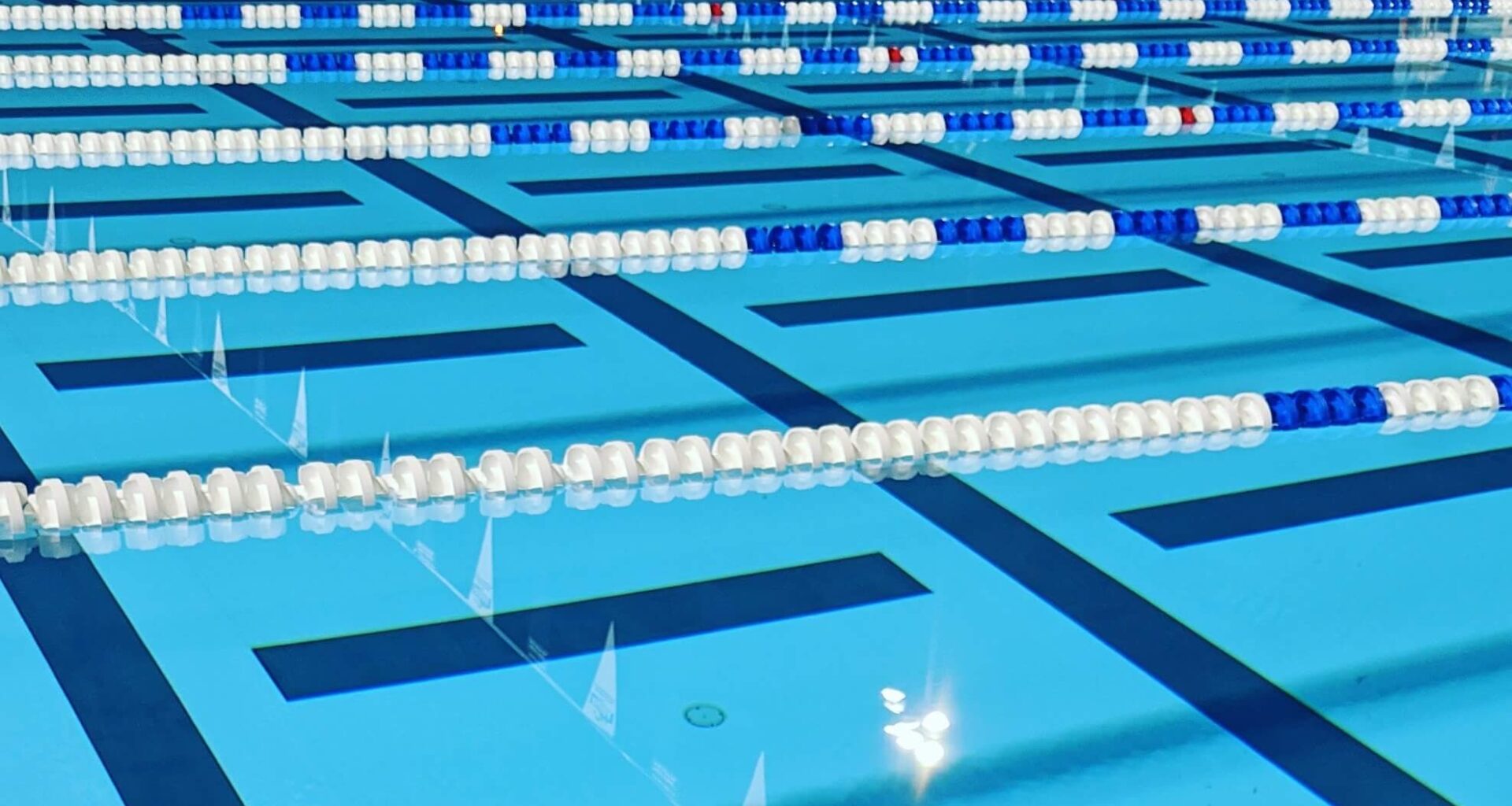 pool lane line