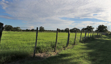 Texas to receive $1.4 billion in federal funding for rural health care Texas will receive more than $1.4 billion in federal funding over the next five years to improve rural health care in the state through the Rural Health Transformation Program.