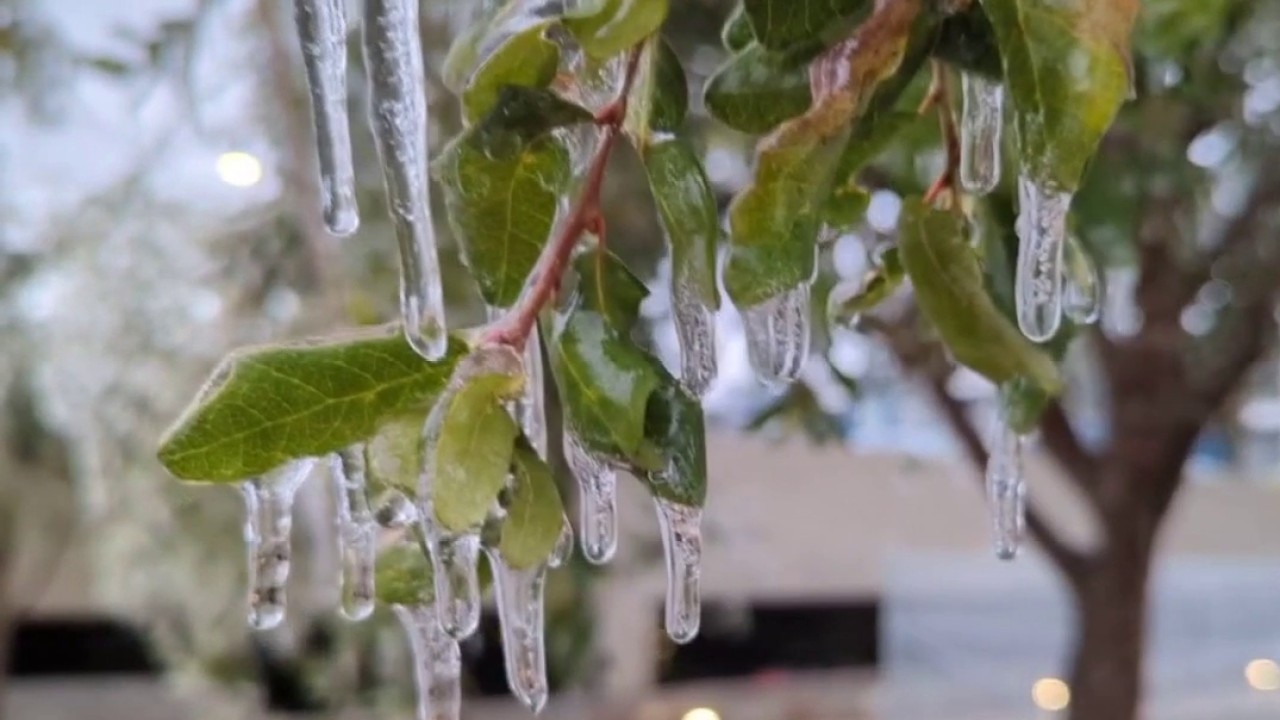 Record breaking weekend for cold weather shelters