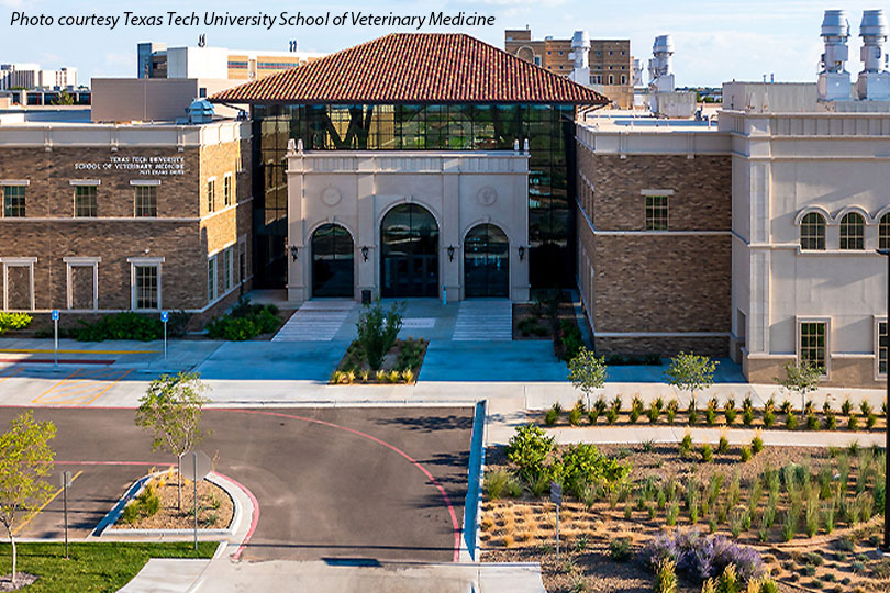 USDA awards Texas Tech University’s veterinary school grant Texas Tech University’s School of Veterinary Medicine was awarded a $250,000 Veterinary Service Grant from the U.S. Department of Agriculture (USDA) that will address the nationwide shortage of food animal veterinarians.