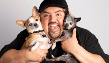 Top 10 Things To Do This Weekend In Plano, Frisco And Beyond - Local Profile