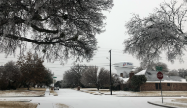 Collin County Schools Close Wednesday Amid Lingering Ice - Local Profile