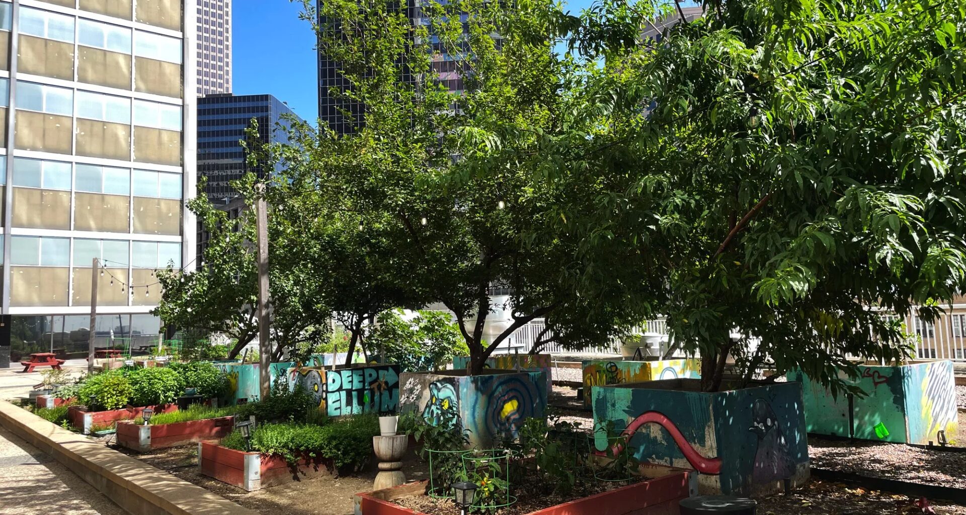 How to Go Green in Dallas-Fort Worth