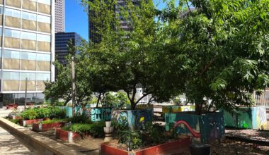 How to Go Green in Dallas-Fort Worth