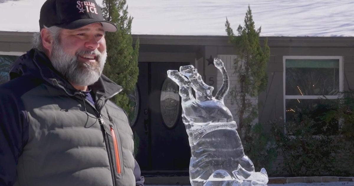 Forget the snowman: Fort Worth man carves giant Texas-themed ice sculpture for snow day