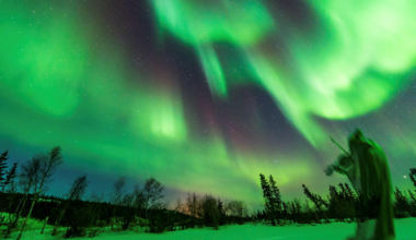 Top 10 Things To Do This Weekend In Plano, Frisco And Beyond - Local Profile