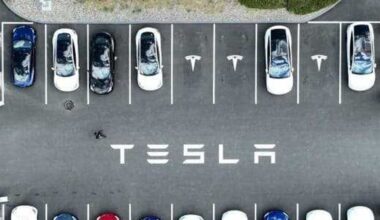 Austin-based Tesla sees sales drop for 2nd year in a row