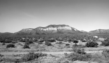 Taking The Train To The Town Of El Paso