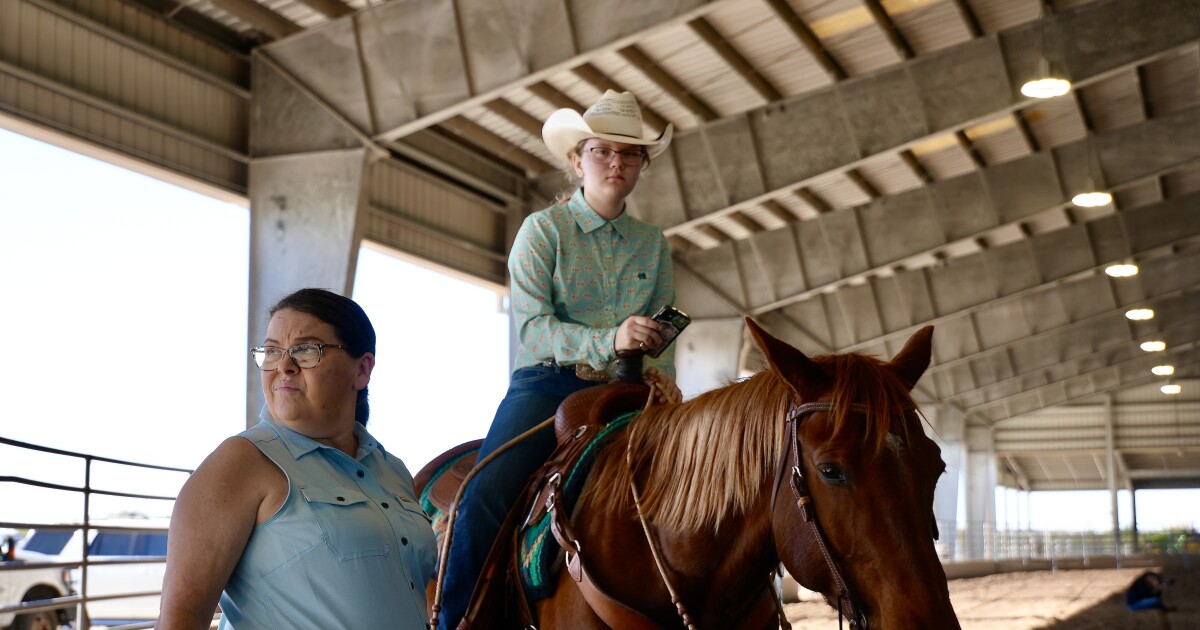 Nueces County Junior Livestock Show gets underway in Robstown
