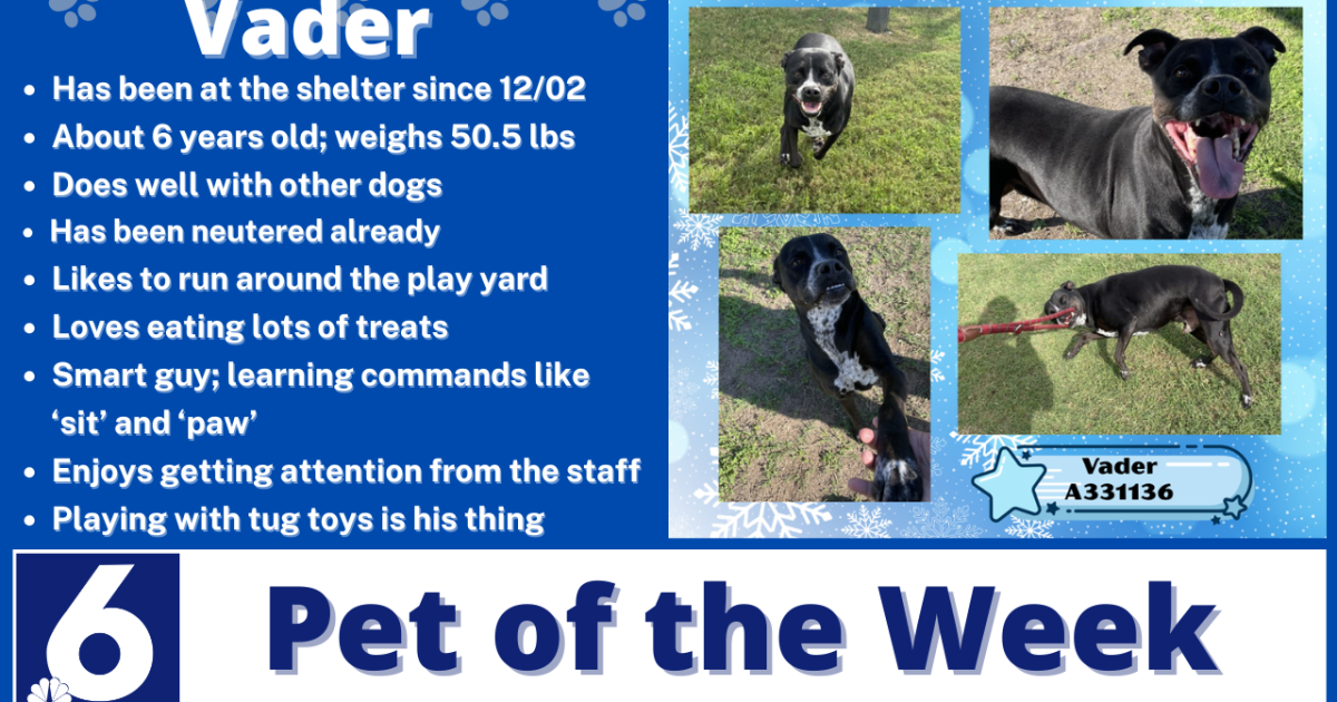 Pet of the Week: Vader