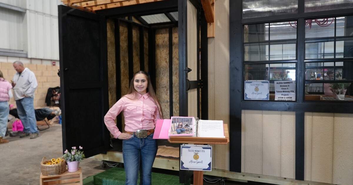 Young builders display impressive ag mech projects at livestock show