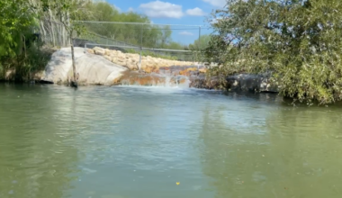 Temporary, they were told.